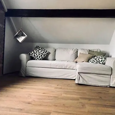 Old Town Attic Apartment Kaunas